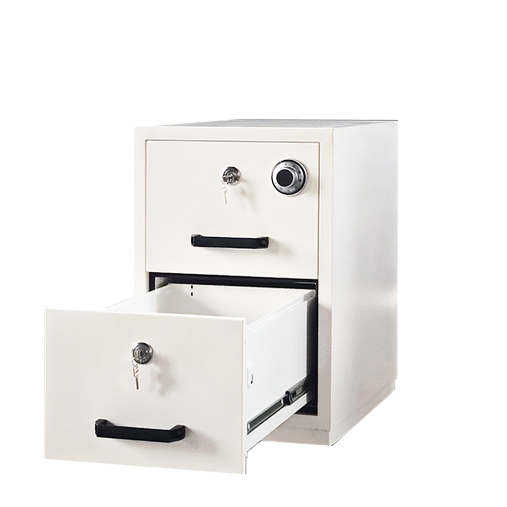 2 Drawer Vertical Office File  - File Cabinet Drawer ulasan dan harga