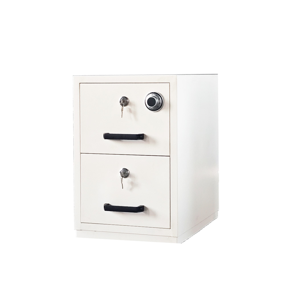 2 Drawer Vertical Office File  - File Cabinet Drawer ulasan dan harga